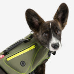 Gilet de sauvetage pour chien en néoprène kaki – Gilet de flottabilité sûr et élégant