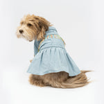 Ocean Denim Dog Dress – Chic Festival-Ready Outfit with Rainbow Fringe & Leash Opening