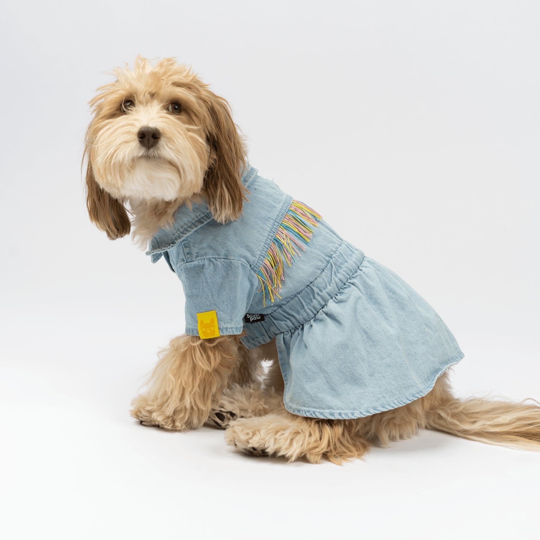 Ocean Denim Dog Dress – Chic Festival-Ready Outfit with Rainbow Fringe – Dollar Woof Club