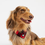 Poplin Bandana Dog Collar – Red Plaid | Adjustable with Metal Buckle