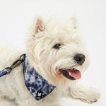 Collier bandana pour chien en popeline – Bleu tie-dye | Ajustable avec boucle en métal