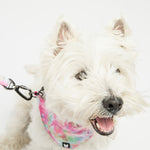Pink Tie-Dye Poplin Dog Bandana Collar – Adjustable & Stylish Pet Accessory