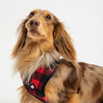 Harnais pour chien en popeline à carreaux rouges – Réglable, sécurisé et élégant
