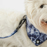 Poplin Dog Leash – Blue Tie-Dye Durable Leash with Padded Handle & Secure Locking Clasp