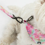 Pink Tie-Dye Poplin Dog Leash – Durable, Secure & Stylish