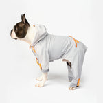 Sammy - Splash Suit - Silver Paw