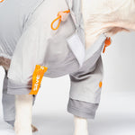 Sammy - Splash Suit - Silver Paw