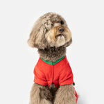 Pyjama pour chien endormi – Combinaison douce et confortable pour les fêtes | Pyjama de Noël festif