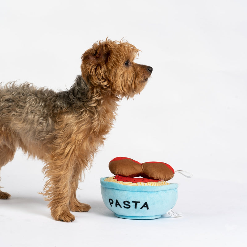 Jouet pour chien Spawghetti & Meatballs â Jouet couineur en peluche 2 en 1 pour un jeu interactif