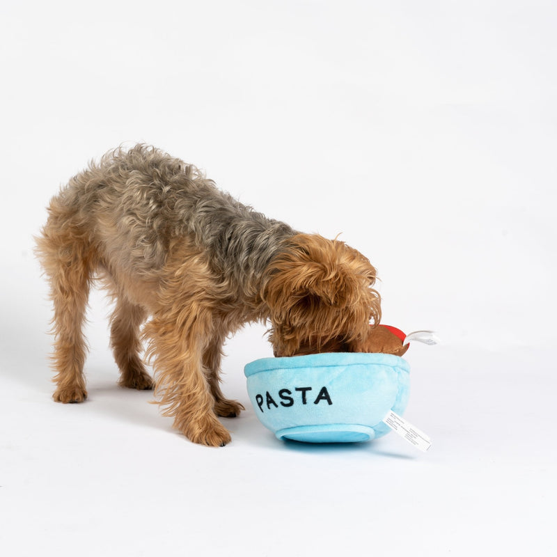 Jouet pour chien Spawghetti & Meatballs â Jouet couineur en peluche 2 en 1 pour un jeu interactif