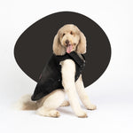 Spencer Dog Jacket – Distressed Denim with Sherpa Lining & Matte Snaps