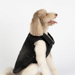 Spencer Dog Jacket – Distressed Denim with Sherpa Lining & Matte Snaps
