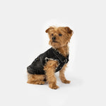 Spencer Dog Jacket – Distressed Denim with Sherpa Lining & Matte Snaps