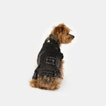 Spencer Dog Jacket – Distressed Denim with Sherpa Lining & Matte Snaps