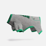 Tree Dog Pajama