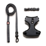 Ensemble harnais, laisse et collier 3 en 1 pour chien – Réglable, confortable et durable