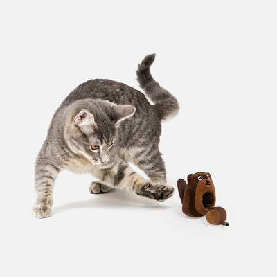 Cat Toys