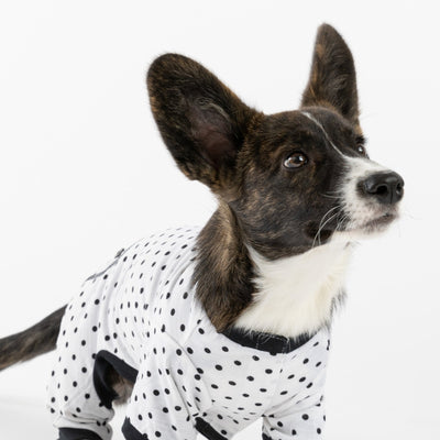 Dog Pajamas