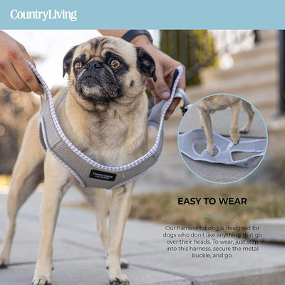 Harnesses