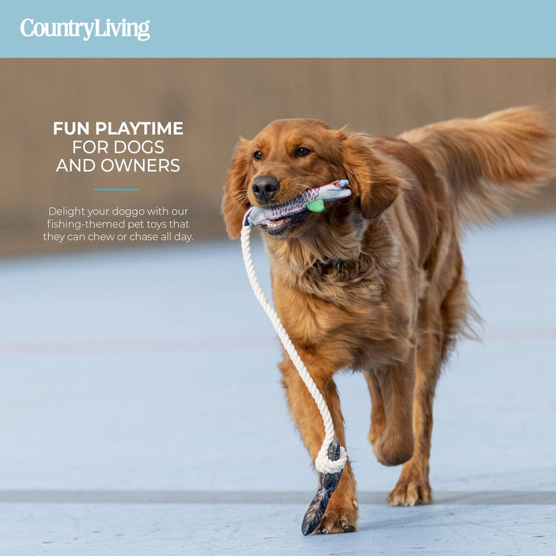 Durable Fish & Mason Jar Dog Toys – 2 Pack for Aggressive Chewers