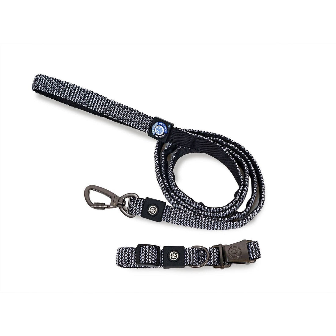 Dog Collar With Leash