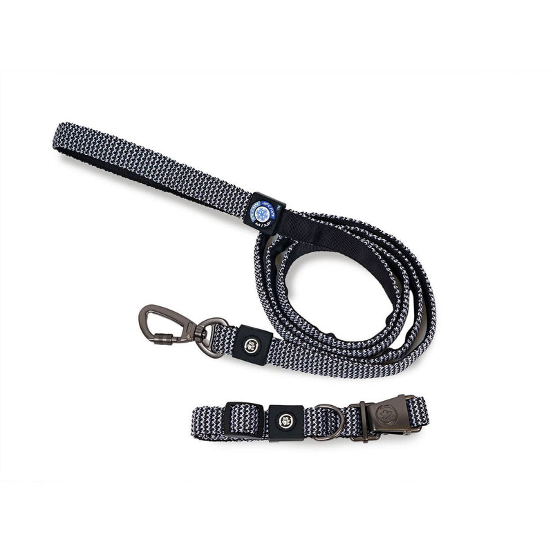 Dog Collar With Leash