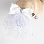 👰🐶 Costume de chien voile de mariée