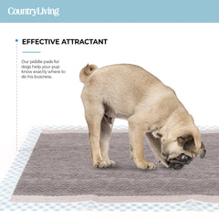 25 Bamboo Charcoal Dog Training Pads - Silver Paw