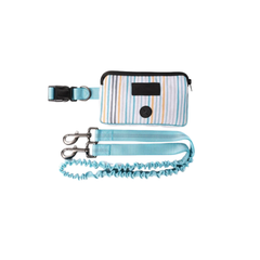 Hands-Free Dog Leash