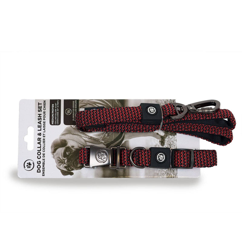 Dog Collar With Leash