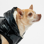 Emma Dog Jacket – Shiny Black Water-Resistant Winter Coat with Sherpa Lining