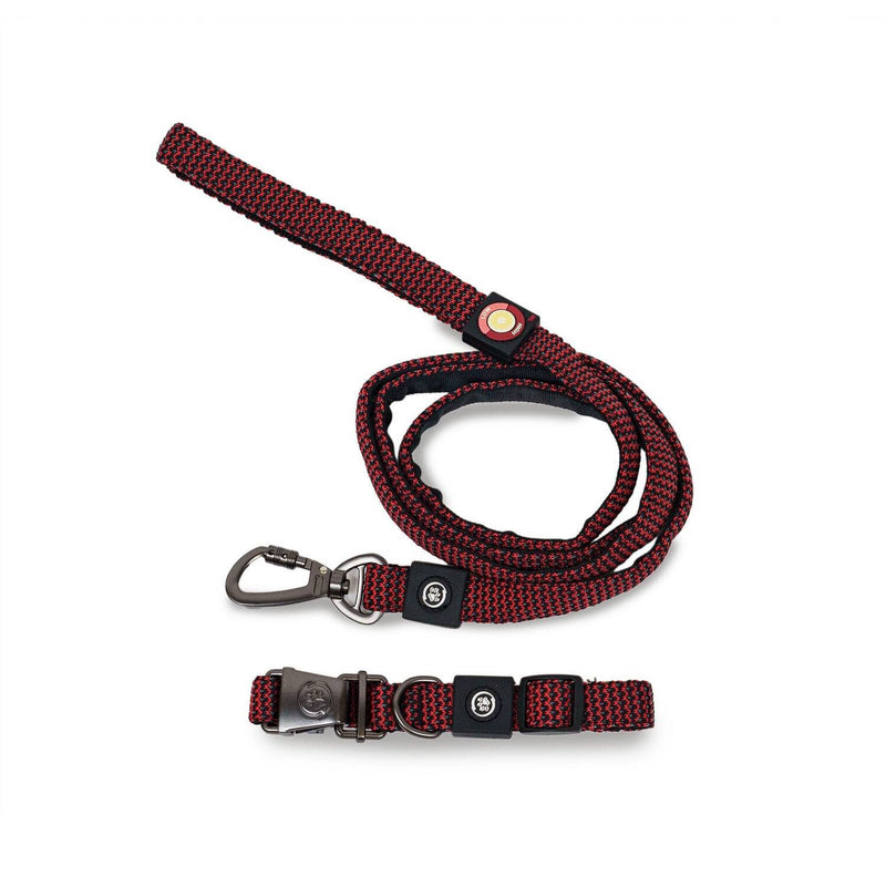 Dog Collar With Leash