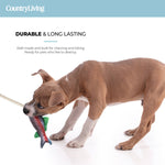 Durable Fish & Mason Jar Dog Toys – 2 Pack for Aggressive Chewers