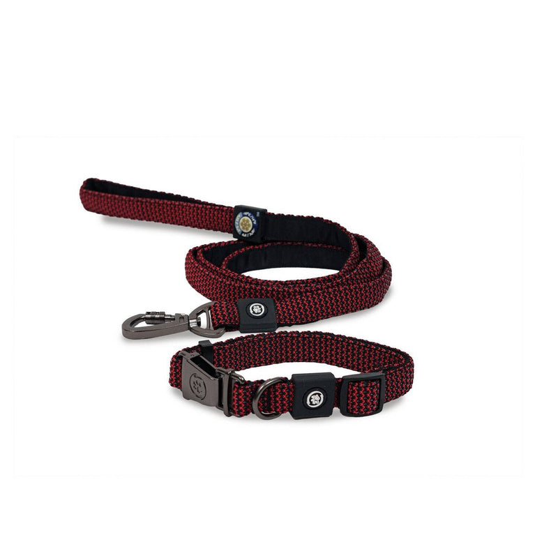 Dog Collar With Leash