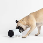 Durable Fish & Mason Jar Dog Toys – 2 Pack for Aggressive Chewers