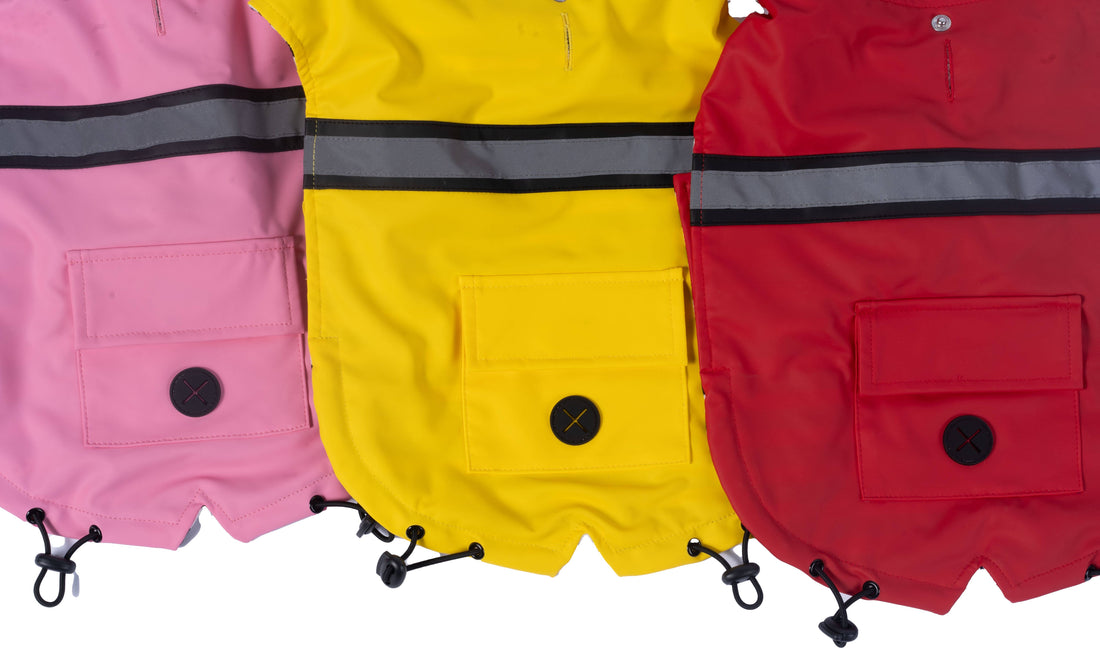 South Paw Dog Raincoat