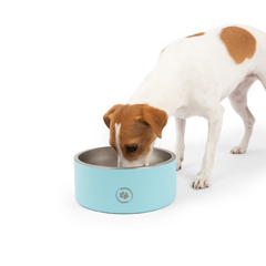 Large Stainless Steel Dog Bowl