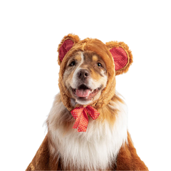 Teddy Bear Costume
