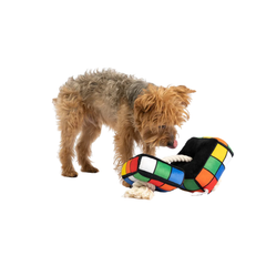 Robix Cube Dog Toy