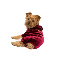 Coco Velour Dog Pajamas