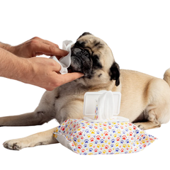 Get Fresh Dog Wipes