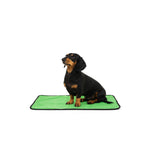 Tapis en gazon synthétique pour chiens