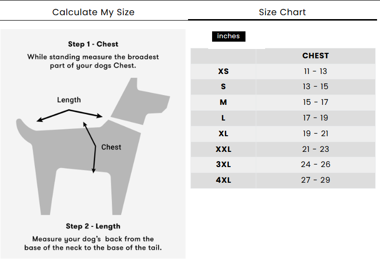 Ensemble harnais, laisse et collier 3 en 1 pour chien – Réglable, confortable et durable