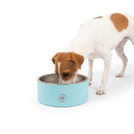 Large Stainless Steel Dog Muncher Bowl