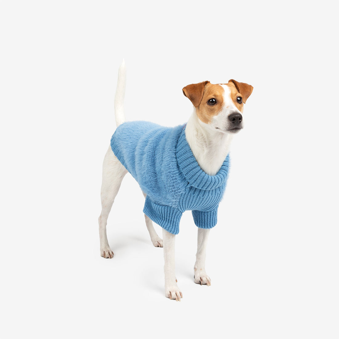 Veste en tricot tendance Nora pour chien – Manteau d&