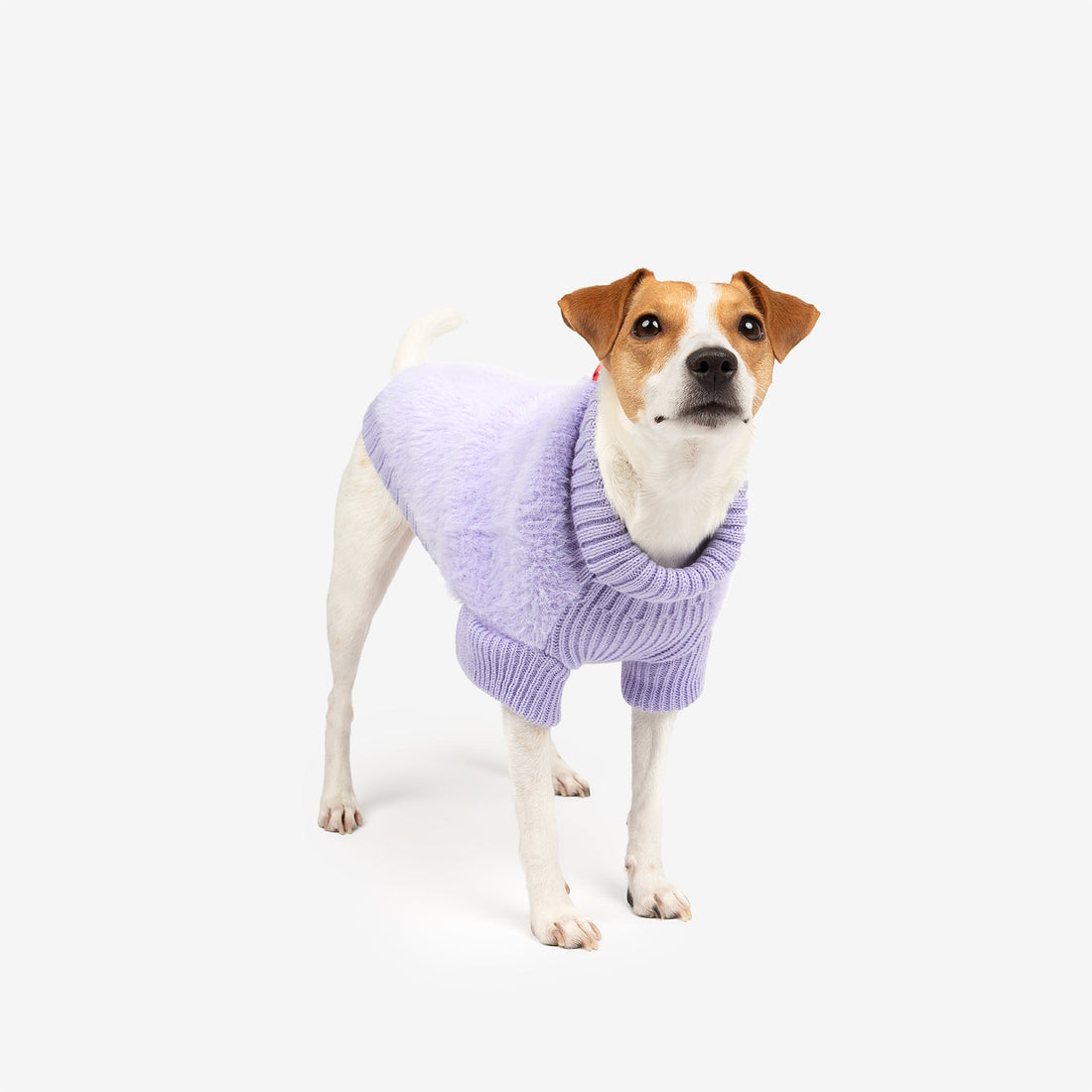 Veste en tricot tendance Nora pour chien – Manteau d&