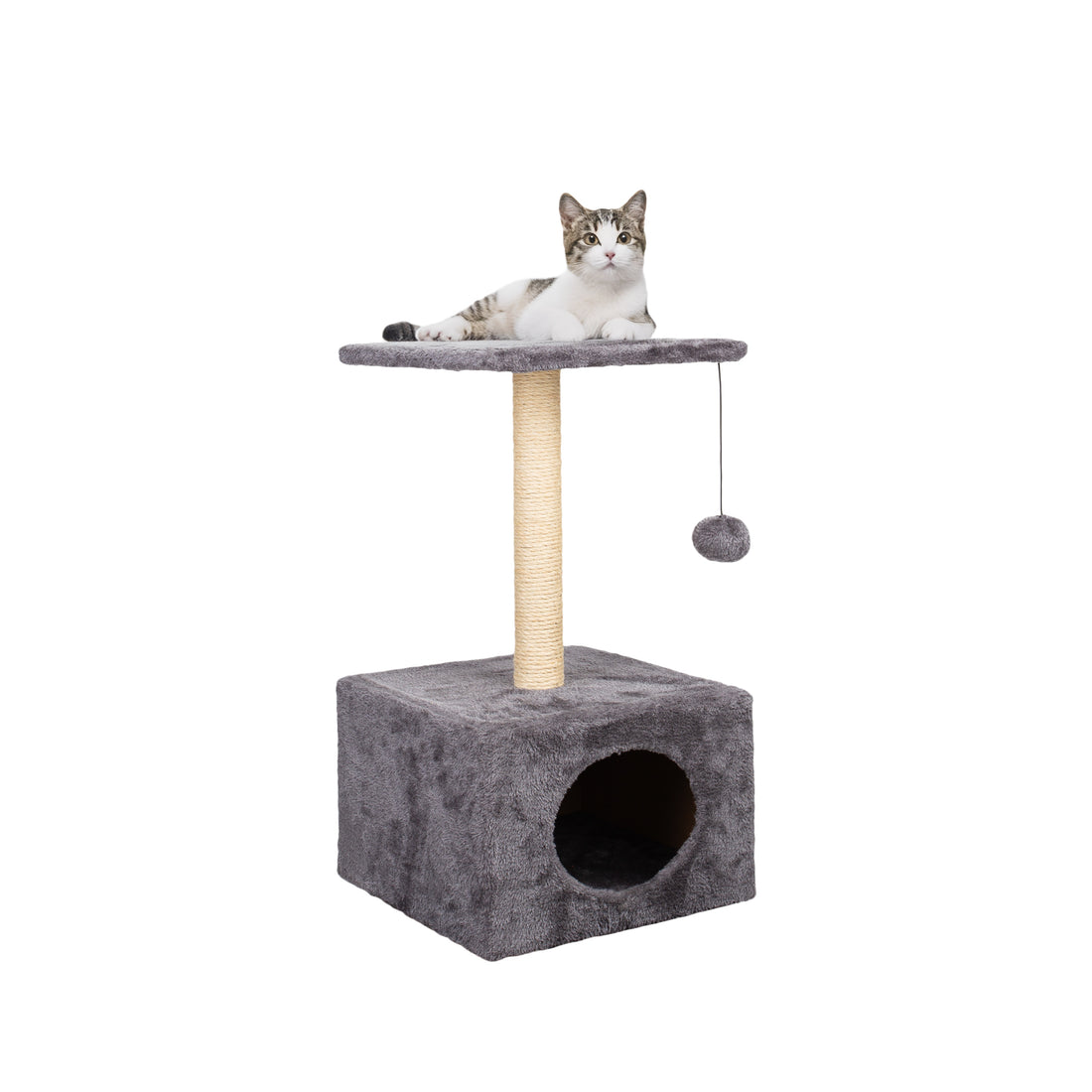 Cat Scratching Post