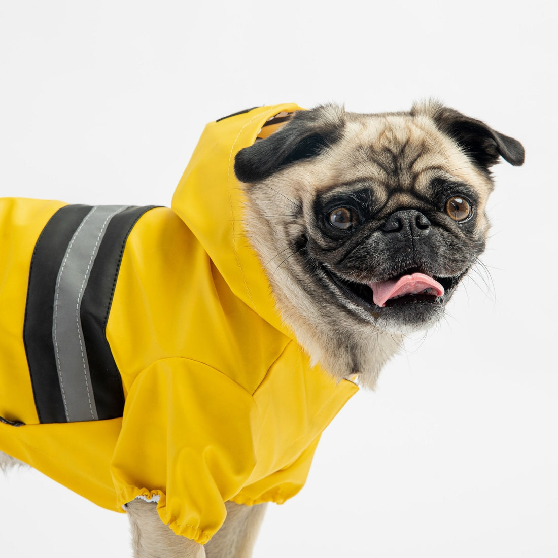 Aden Dog Raincoat - Yellow - Silver Paw
