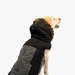 Bailey Dog Jacket - Black - Silver Paw