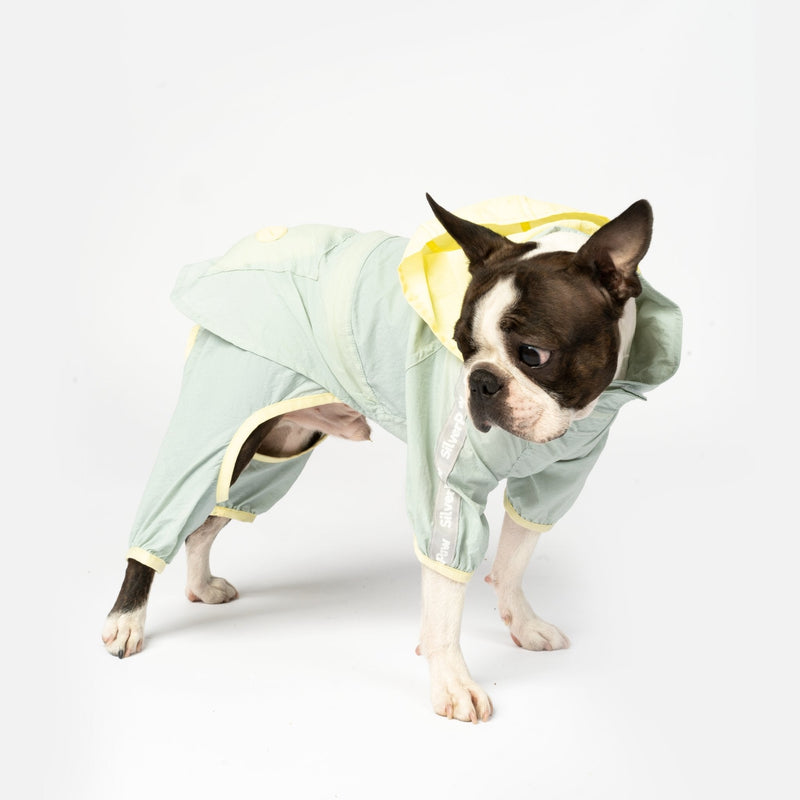 Bobbi - 2 Piece Splash Suit - Silver Paw